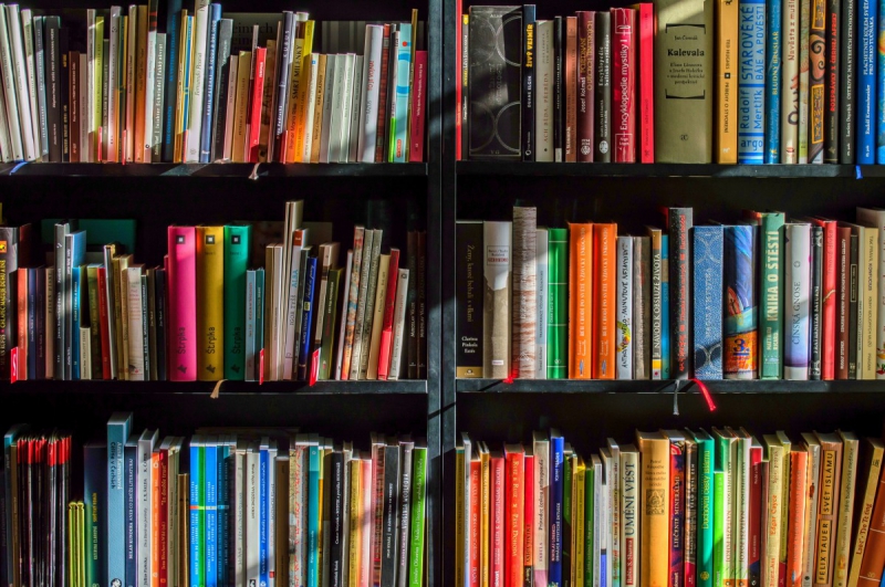 vitrine-SIX FOURS LES PLAGES-min_books_bookstore_book_reading_shop_writer_sale_books_read-822866